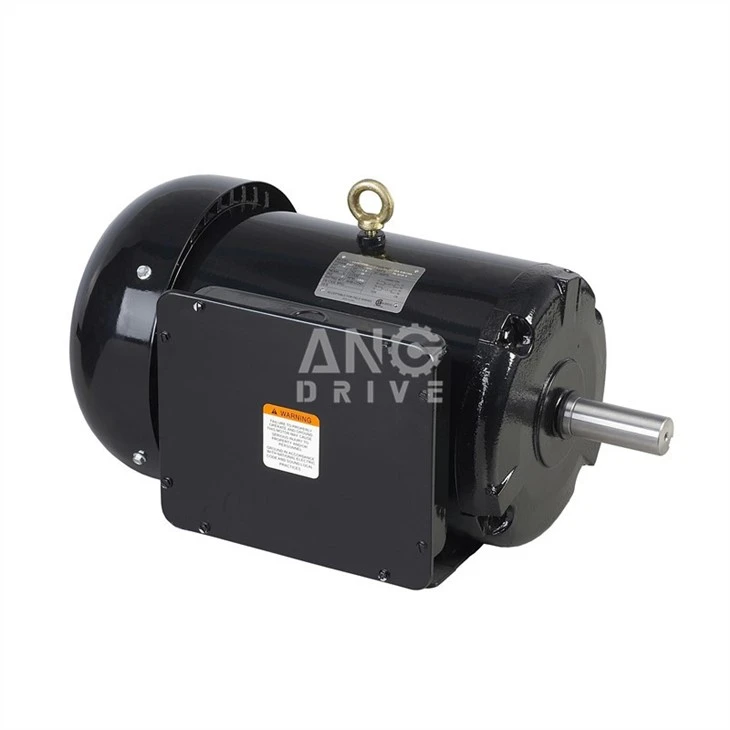 three phase nema motor