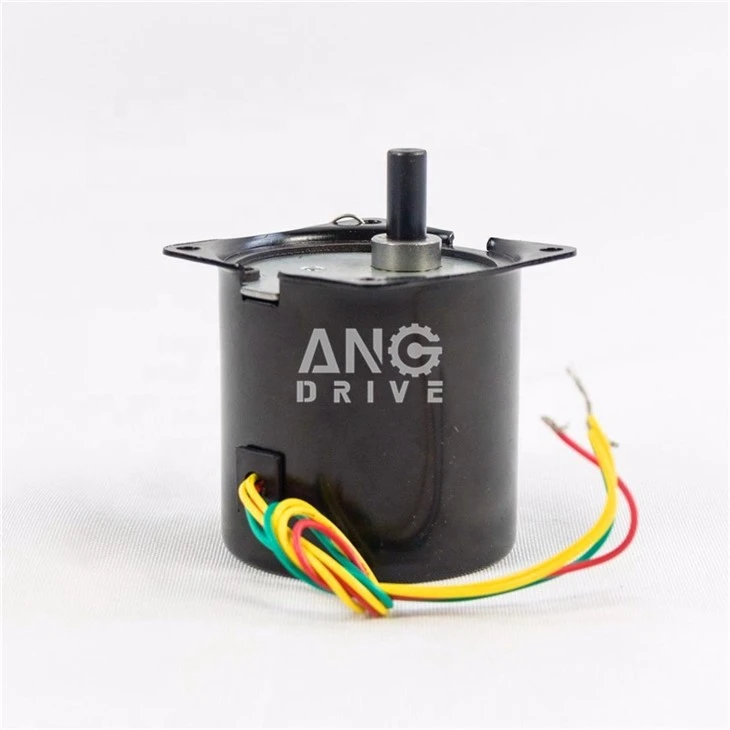 AC Synchronous Electric Motor
