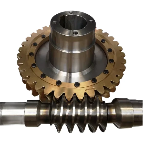 Double Enveloping Worm Gear
